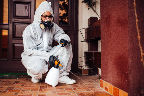 Reliable Wasp Removal contractor in Doffing, TX by Show Me Pest Control